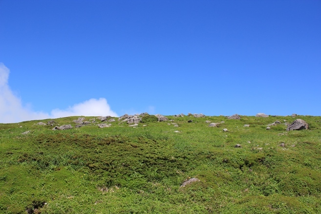 e0239458_21034186.jpg