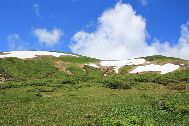 e0239458_21414971.jpg