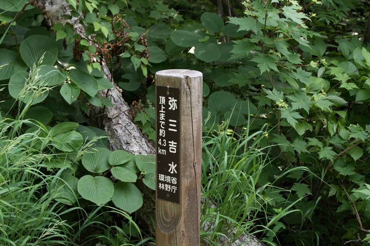 b0281366_10494941.jpg