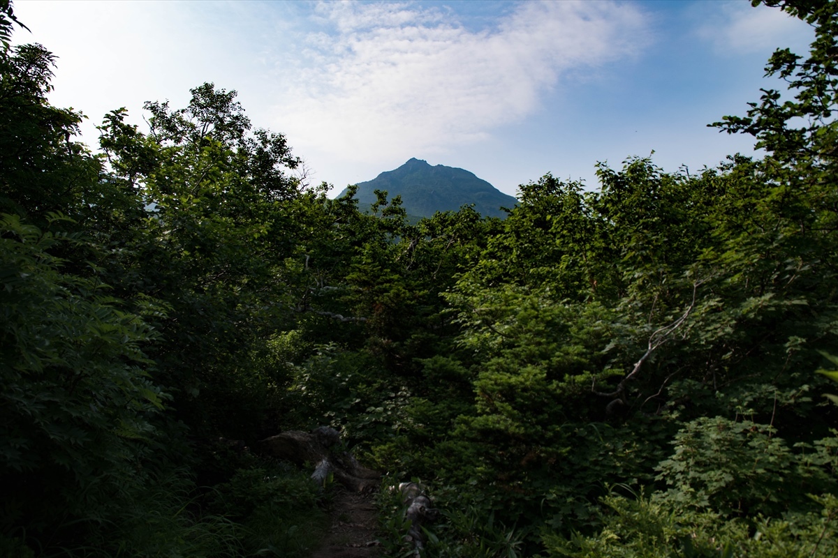 b0281366_10500527.jpg