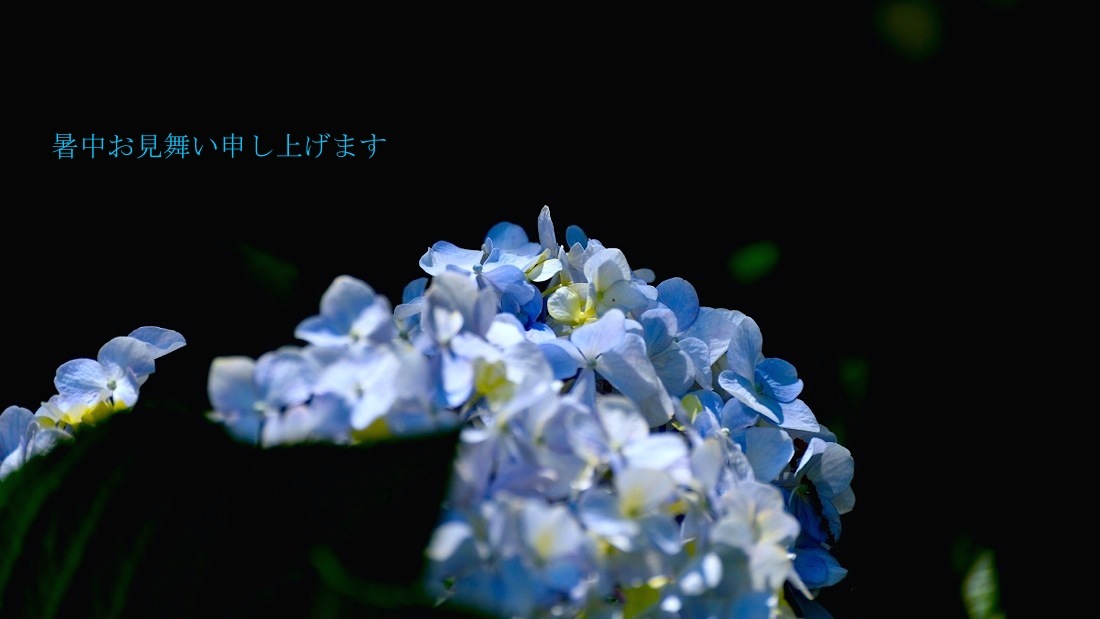 d0175768_19072122.jpg