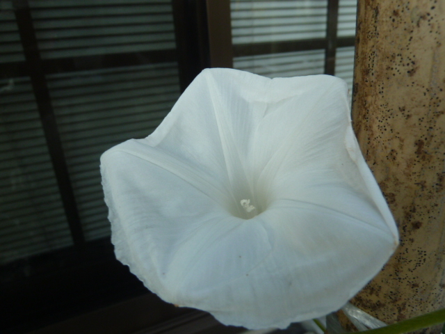 e0278968_22310871.jpg