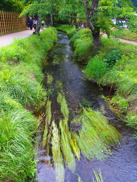 c0122670_22022374.jpg