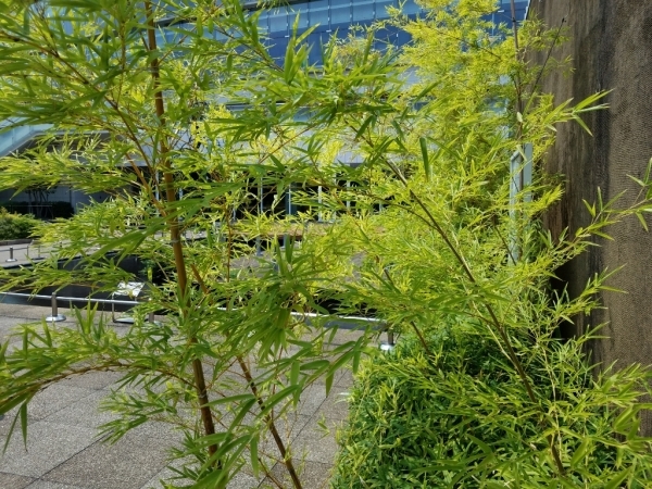 e0351371_15155575.jpg