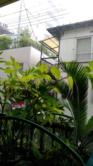 c0162773_00115615.jpg