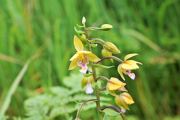 c0248473_20415809.jpg