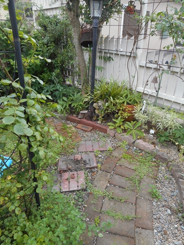 f0366679_14214722.jpg