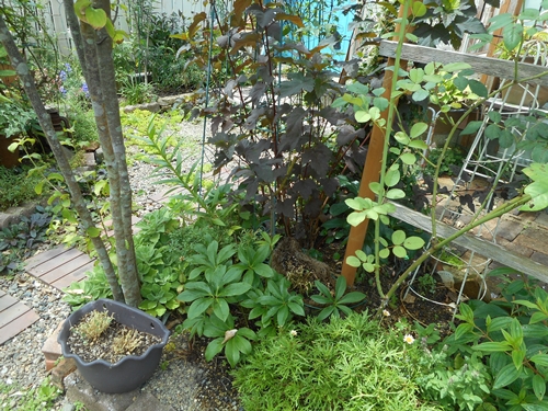 f0366679_14224683.jpg