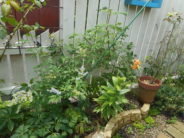 f0366679_1423476.jpg