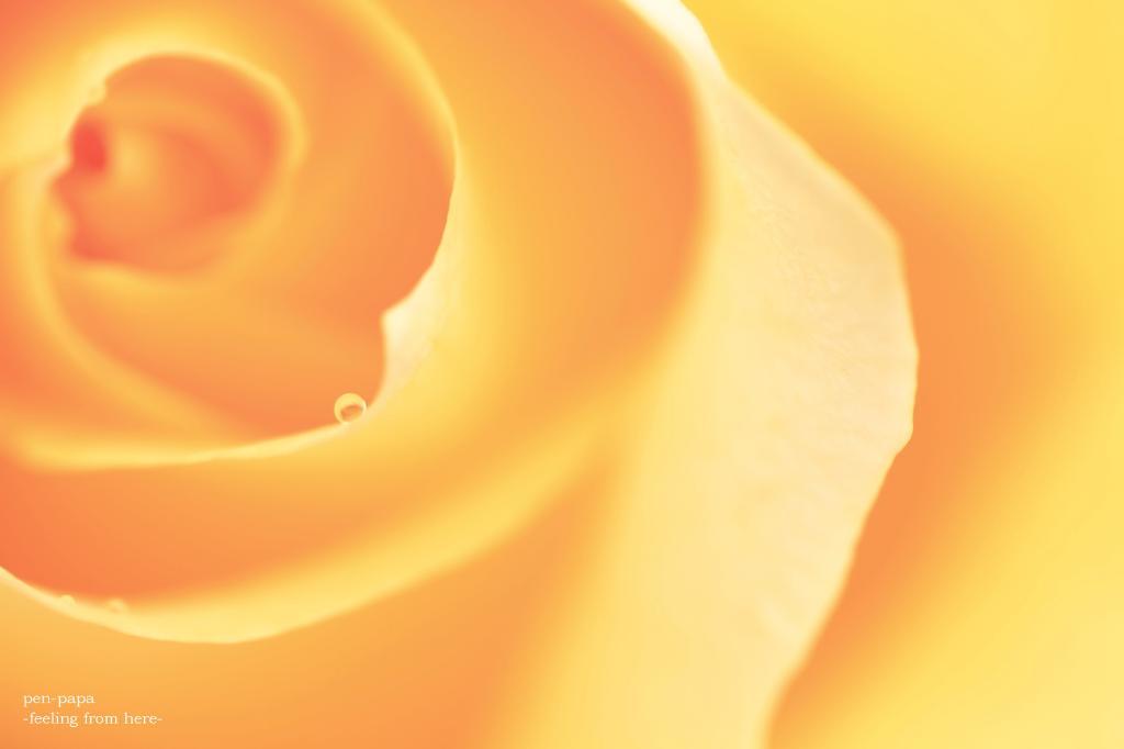 c0356480_14452225.jpg