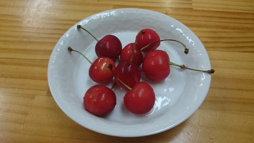 f0051283_19293086.jpg