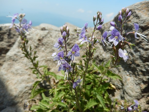 c0144185_11404975.jpg