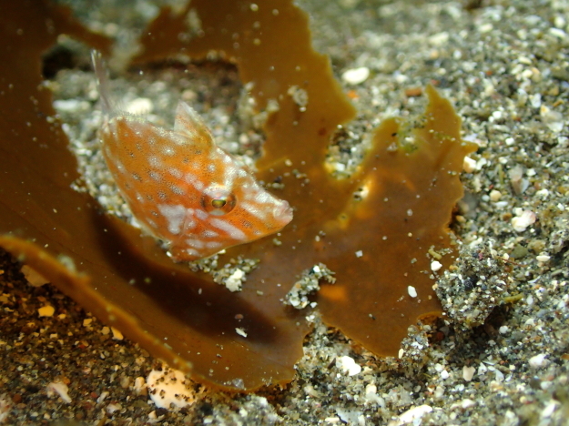 f0151886_15170915.jpg
