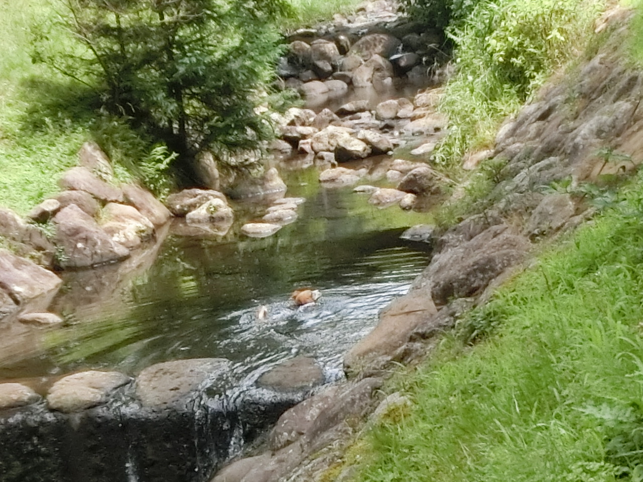 a0319693_6192520.jpg