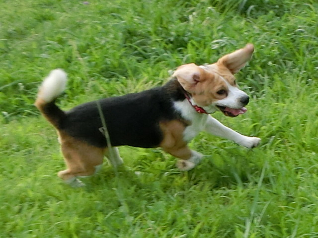 a0319693_6212499.jpg