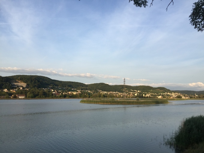 b0166496_17455236.jpg