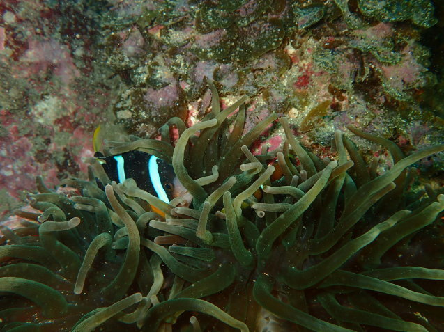 e0115199_19152545.jpg