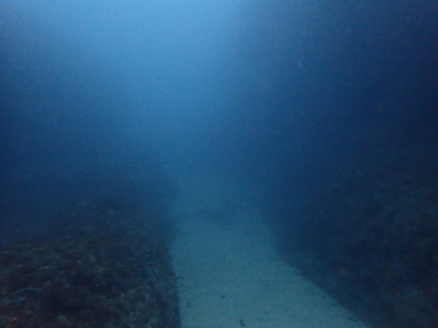 e0115199_19175313.jpg