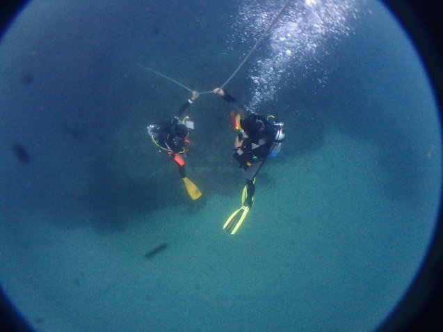 e0115199_20145016.jpg