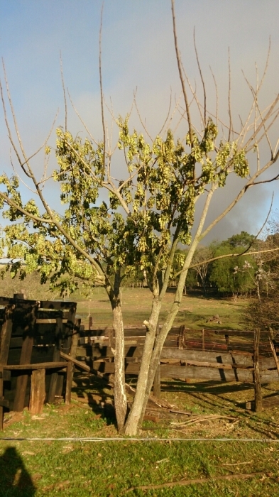 f0225800_05325750.jpg