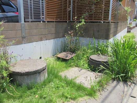 e0245404_16282254.jpg