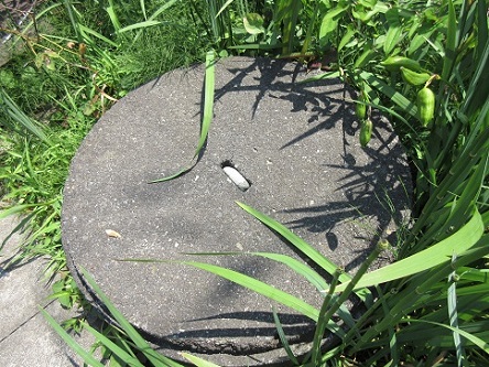 e0245404_1684081.jpg