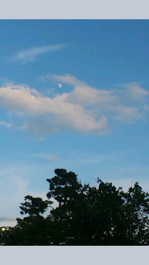 b0028109_011509.jpg