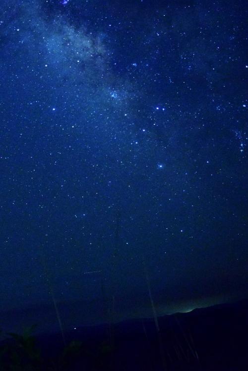 f0368610_17574741.jpg