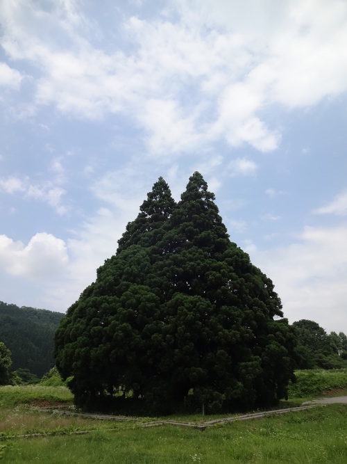 c0279611_23193641.jpg