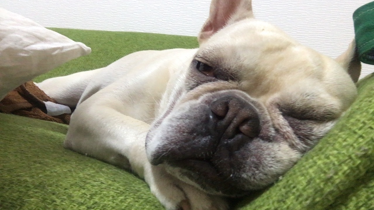 b0302512_03351660.jpg