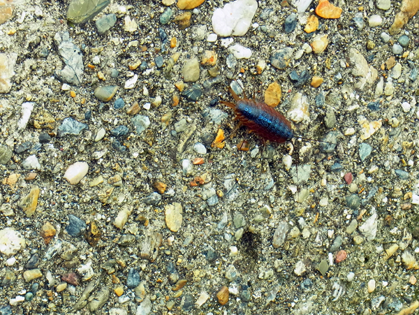 e0083517_01441358.jpg