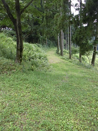 b0181818_18092331.jpg