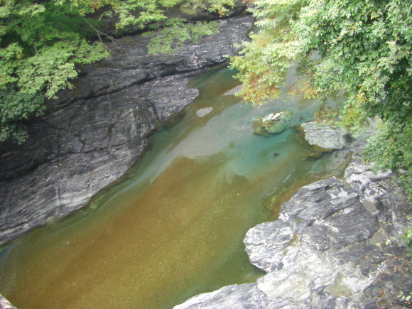 c0074721_15145315.jpg