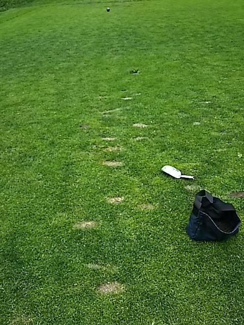 f0227321_18211028.jpg