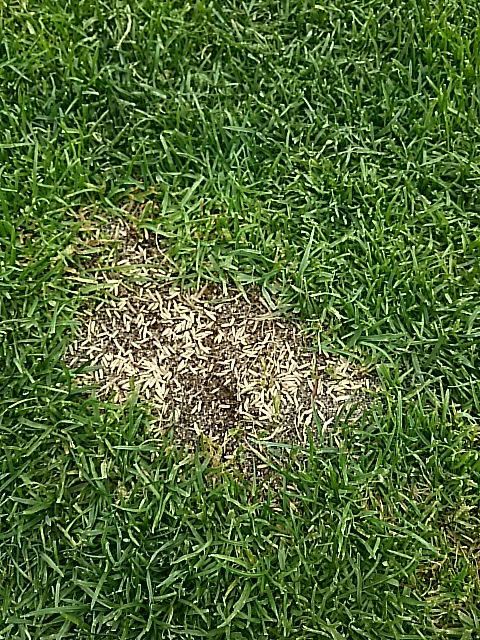 f0227321_18212276.jpg