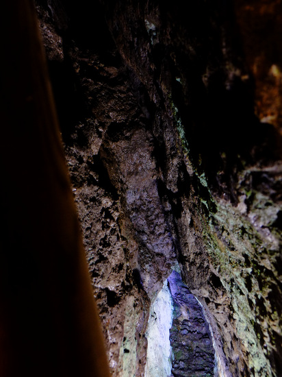 a0000029_1642043.jpg