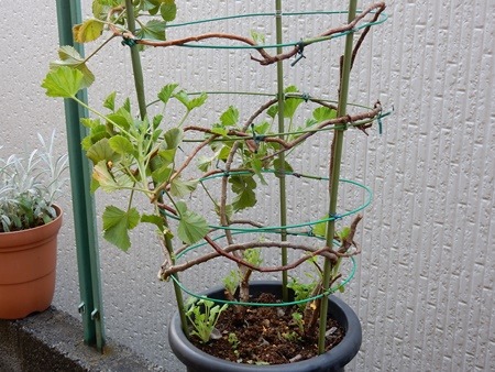 e0033229_18215329.jpg