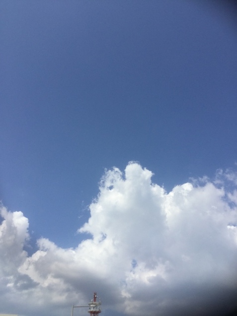 c0103830_16141881.jpg