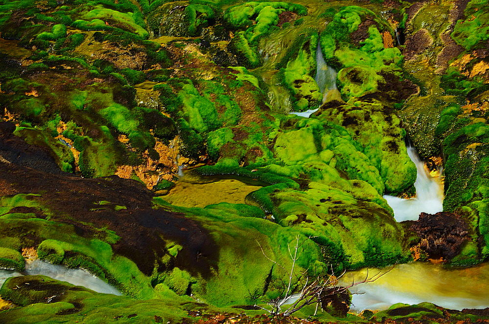 a0287533_21192852.jpg