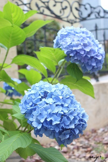 f0023333_22074871.jpg