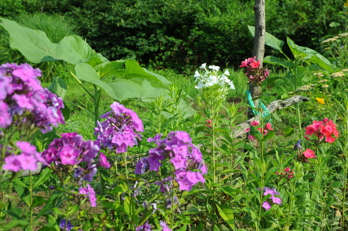 c0172234_22424018.jpg