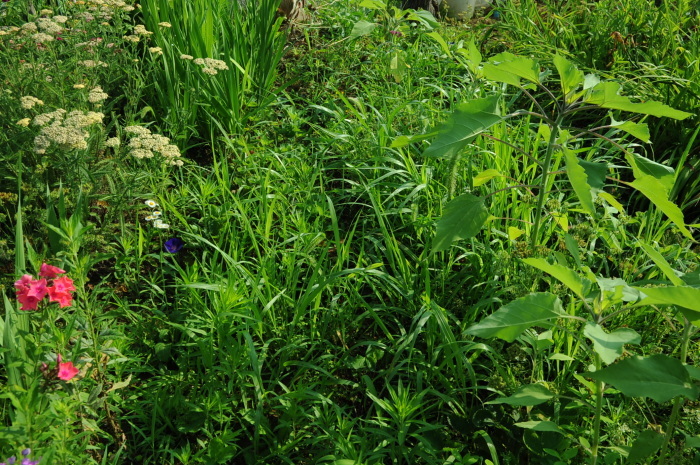 c0172234_22425348.jpg