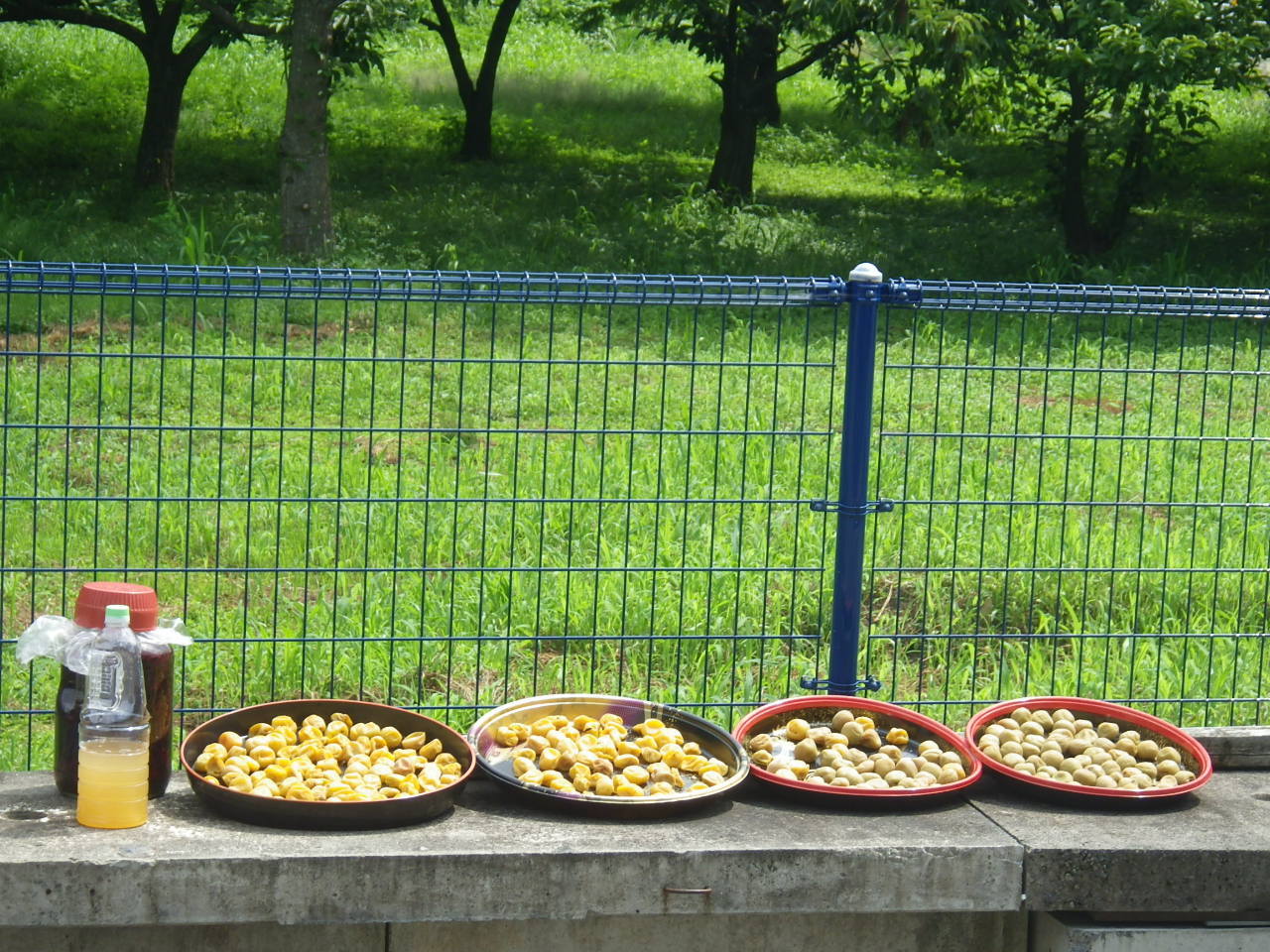 c0300035_10485308.jpg