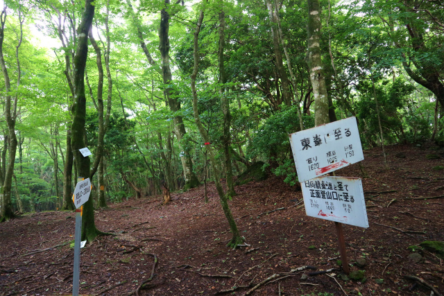e0272335_18574833.jpg