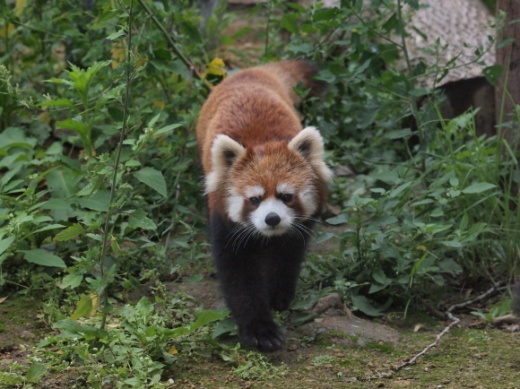 a0149740_18073809.jpg