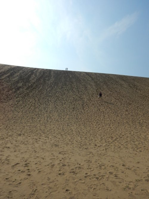 d0142944_19262420.jpg