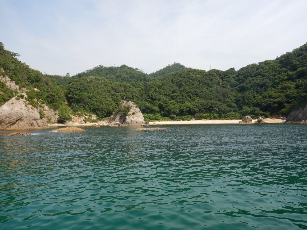 d0142944_19262594.jpg