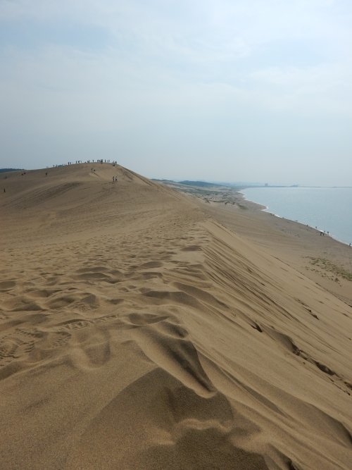 d0142944_19262685.jpg