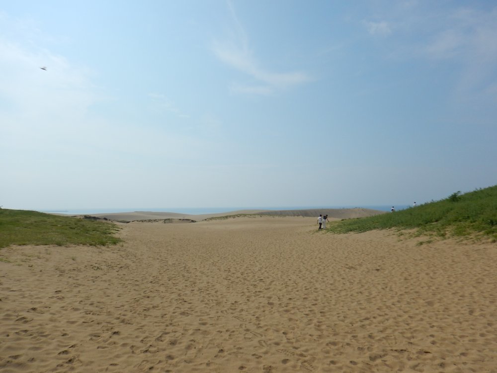 d0142944_19262693.jpg
