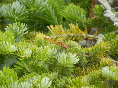 b0126549_09335682.jpg